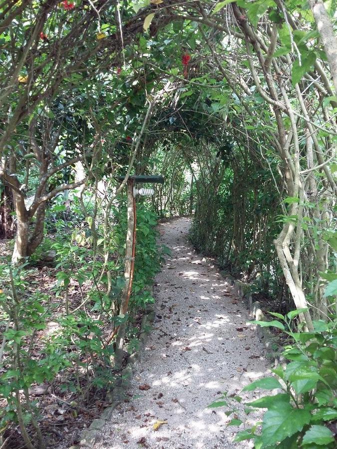 Centro Ecoturistico Ya'Ajche Hotel Lacanja Luaran gambar
